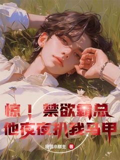 惊！禁欲霸总他夜夜扒我马甲苏晚傅夜辰小说阅读 惊！禁欲霸总他夜夜扒我马甲文本在线阅读