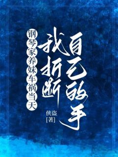《钢琴家养妹车祸当天，我折断自己的手》梁芊芊梁珊章节列表精彩试读