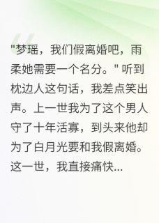 八零我痛快答应首长老公假离婚后