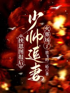 【爆款新书】挟恩图报后，少帅追妻火葬场了 沈岸苏媚小说全文章节免费试读