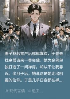 《我老婆和佛像生了个孩子》林若雪陆泽远萧北辰免费试读