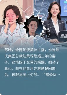 苏晚陆景琛小说阅读 苏晚陆景琛小说顶流主播：总裁的追妻火葬场