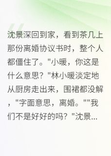 《重生撂挑子，首长秒怂了》小说全文在线试读 沈景深小暖小说全文