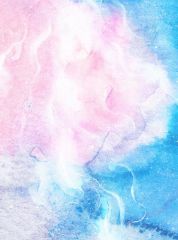 蚊虫病泛滥，室友却嫌弃我公主病