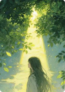 夏夜晚风与未完成的诗