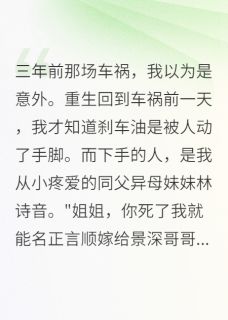 《车祸重生我让白莲花妹妹坐牢八年》最新章节免费阅读（完整版未删节）