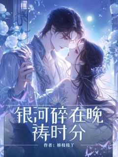 《银河碎在晚祷时分》小说精彩章节免费试读（主角林晚星陆昭野白渺）