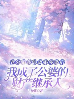 老公骗我假离婚死遁后，我成了公婆的财产继承人完整版 王琴张恩全章节阅读