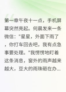 《暴雨夜他去接了别的女人》小说章节列表精彩试读 顾言何晨小说全文