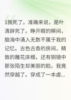 重生豪门后我专治各种不服全文免费阅读(沈墨轩苏婉儿叶清辞) 完结版