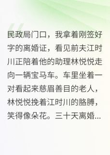 《翻译官离婚当天老公陪助理见家长》小说大结局免费阅读 江时川林浩林悦悦小说阅读