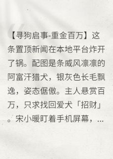 我只是替身宋小暖陆沉舟精彩内容在线阅读