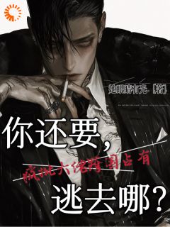 疯批大佬跨国占有：你还要逃去哪