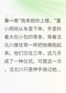 他抱不起九十斤的我完整版在线阅读（主角夏小雨沈北川）