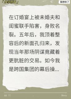 换脸归来，成了前夫的复仇白月光免费阅读(陆沉周慕白苏蔓全本资源) 无广告