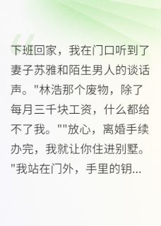 离婚当天，她后悔了精彩章节 苏雅张伟全章节阅读