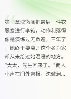 替身三年，白月光归来我走人主角沈微澜顾慕白全文章节在线阅读