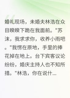 婚礼上未婚夫让我收养青梅的孩子林浩小雨苏沫小说结局精彩章节全文