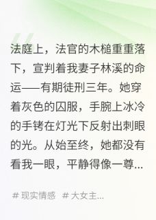 我亲手把卧底妻子送进了监狱