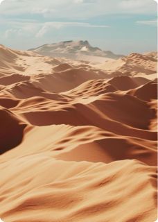 迹实：沙海往事