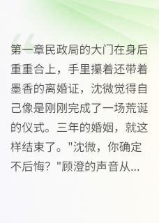 离婚当夜，前夫抓我现行沈微顾澄免费在线全文阅读