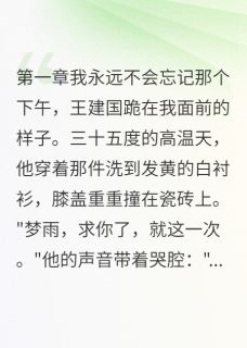 《离婚当天我要回33万分手费》小说全文在线阅读 《离婚当天我要回33万分手费》最新章节列表