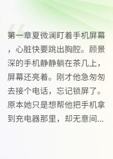 《老公小号里的秘密》夏微澜顾景深林清雅章节目录精彩试读