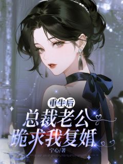 《重生后，总裁老公跪求我复婚》小说章节免费阅读 陆沉风傅司砚小说全文