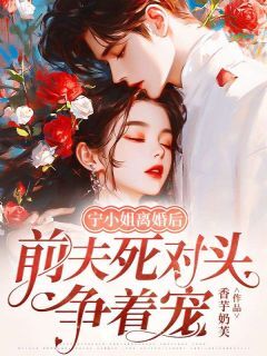 《宁小姐离婚后，前夫死对头争着宠》宁茗欢宋逸臣章节目录精彩阅读