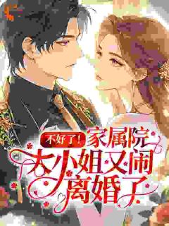 《不好了！家属院大小姐又闹离婚了》小说大结局精彩阅读 宋念栀徐奕承小说阅读