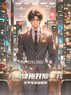 江城苏晴《开局律所开除？我反手考进检察院》全文及大结局精彩试读