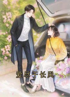 《爱尽于长风》已完结版全文章节阅读 周辰沈薇小说