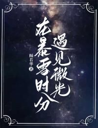 在暴雪时分遇见微光