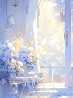 《随礼188，报销18888.88》沈佳玲陆哲全文阅读