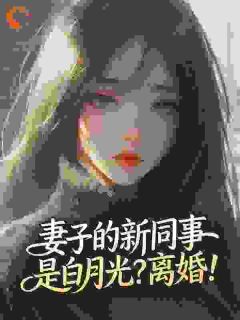 妻子的新同事是白月光？离婚！