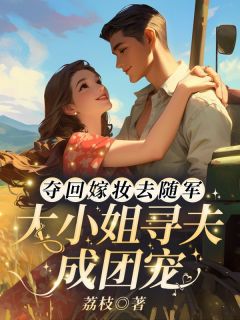 夺回嫁妆去随军，大小姐寻夫成团宠(季青棠季谨)全文完结免费试读精彩章节