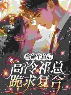 偷偷生崽后，高冷祁总跪求复合》精彩章节列表在线试读 温舒槿祁珩小说