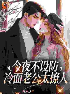 今夜不设防：冷面老公太撩人