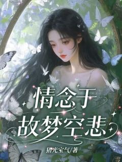 情念于故梦空悲