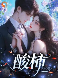 酸柿