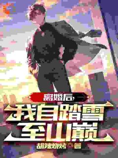 离婚后，我自踏雪至山巅