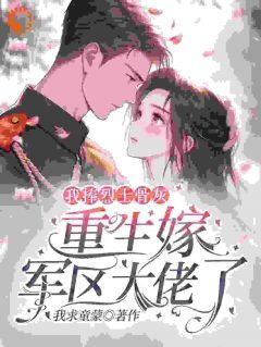 我捧烈士骨灰，重生嫁军区大佬了