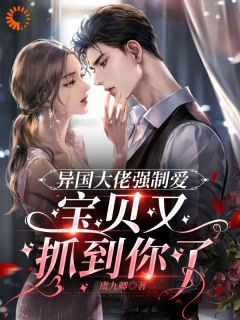 异国大佬强制爱，宝贝又抓到你了