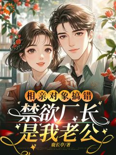 《相亲对象搞错，禁欲厂长是我老公》小说章节目录免费阅读 林子衿杨青秋小说阅读