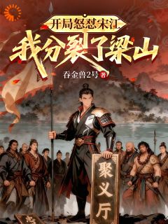 开局怒怼宋江，我分裂了梁山