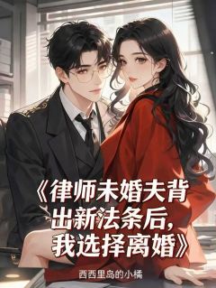 主角是江宴辞乔雪宁的小说 《律师未婚夫背出新法条后，我选择离婚》 全文精彩试读