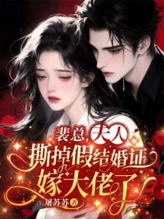 裴总，夫人撕掉假结婚证嫁大佬了