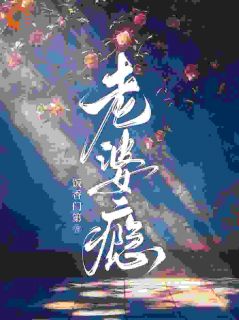 精品热文《老婆瘾》许京乔谢隋东小说全文完整版在线阅读无删减