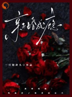 《新婚成瘾》林叶茵傅骋章节目录精彩试读