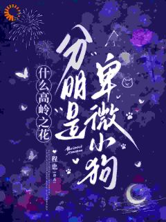 什么高岭之花，分明是卑微小狗宋霁段栖鹤小说精彩章节在线阅读